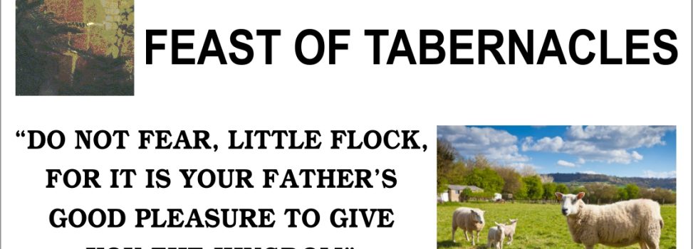 Letter to the Brethren: July 9, 2026