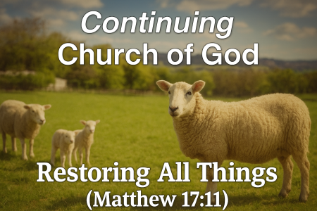 Letter to the Brethren: November 13, 2025